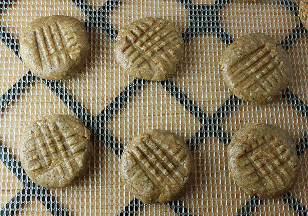 raw-vegan-peanut-butter-cookies