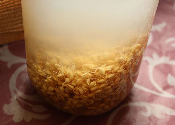 rejuvelac-recipe-traditional-wheat-berries
